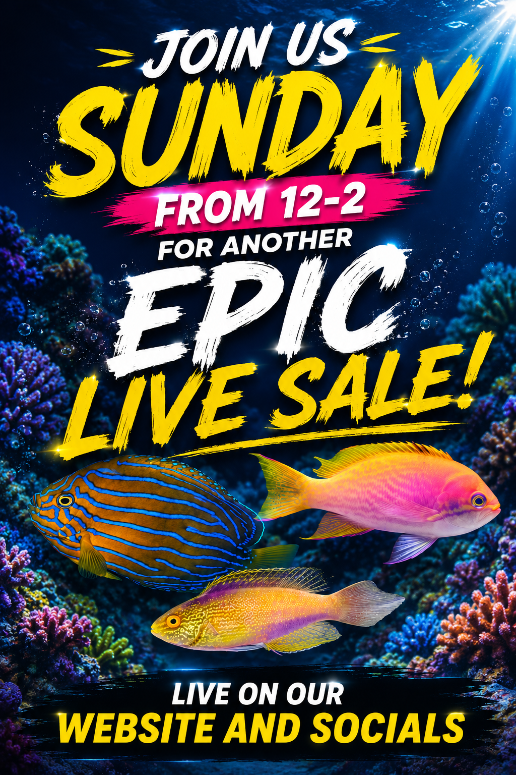 no.160 海底珊瑚　泳ぐスイミー Live Sale: Fish, Inverts & Corals – Page 8 – NYAquatic